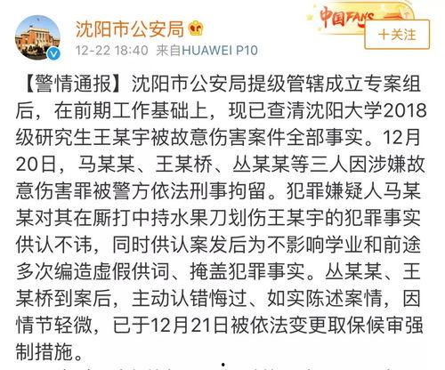 沈阳学生爆料案件最新,校园疑云揭开真相一角 第1张 沈阳学生爆料案件最新,校园疑云揭开真相一角 第1张