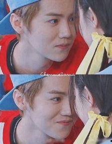 圈内大瓜爆料鹿晗,娱乐圈风云再起，揭秘明星背后的秘密