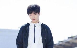 圈内人天涯爆料王俊凯,揭秘明星背后的真实故事